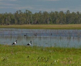 Lake Broadwater Conservation Park - Accommodation Directory 1