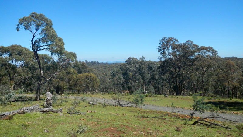 Hill End NSW Accommodation Directory