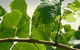 Angullong Wines - thumb 1