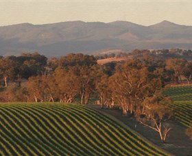 Angullong Wines - Accommodation Directory 0