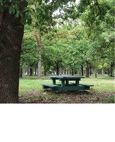 Lindsay Pryor National Arboretum - Accommodation Directory 1