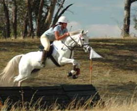 National Equestrian Centre - Kerrabee - Accommodation Directory 0