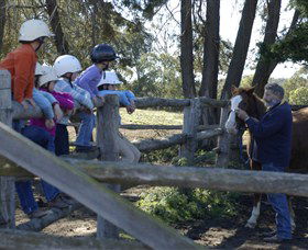 Harlow Park Horse Riding - Accommodation Directory 0