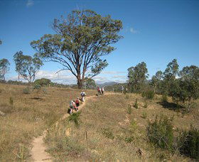 Kambah Pool To Pine Island - Accommodation Directory 1