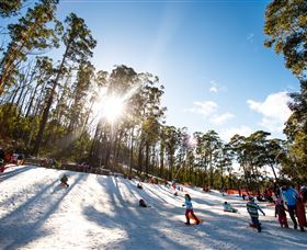 Corin Forest Mountain Resort - Accommodation Directory 1