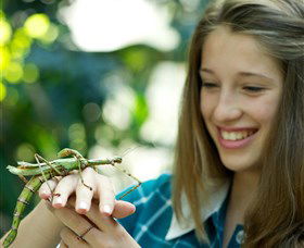 CSIRO Discovery Centre - Accommodation Directory 0