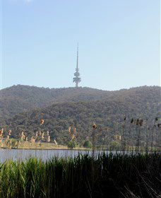 Black Mountain Peninsula - Accommodation Directory 0