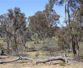 Canberra ACT Accommodation Directory