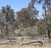 Remembrance Nature Park - Accommodation Directory