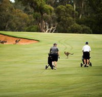 Federal Golf Club - Accommodation Directory