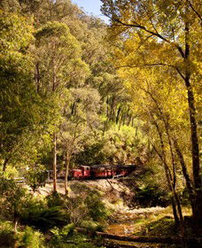Walhalla Goldfields Railway - Accommodation Directory 3