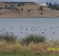 Lake Liddell Recreation Area - Accommodation Directory