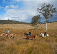 Chapman Valley Horse Riding - Accommodation Directory