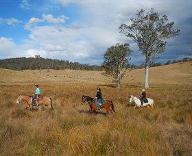 Chapman Valley Horse Riding - Accommodation Directory 0