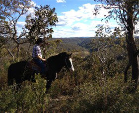 Chapman Valley Horse Riding - Accommodation Directory 2
