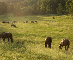 Chapman Valley Horse Riding - Accommodation Directory 4