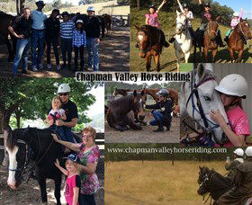 Chapman Valley Horse Riding - Accommodation Directory 5