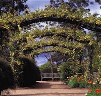 Blue Mountains Botanic Garden - Accommodation Directory
