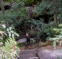 Leura Cascades Fern Bower - Accommodation Directory