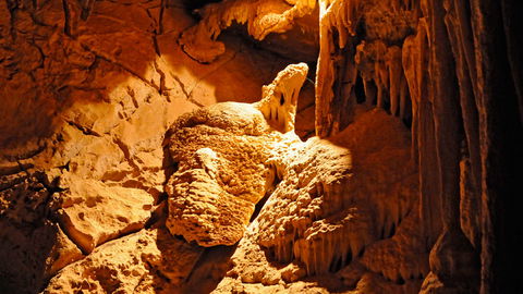 Wombeyan Karst Conservation Reserve - Accommodation Directory 2