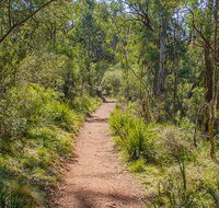 Mares Forest Creek walking track - Accommodation Directory