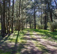 Wombeyan Waterfall walking track - Accommodation Directory