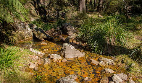 Wombeyan Waterfall Walking Track - Accommodation Directory 1