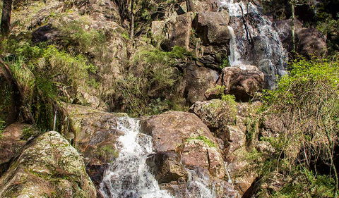 Wombeyan Waterfall Walking Track - Accommodation Directory 3