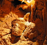 Fig Tree Cave - Accommodation Directory