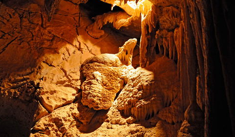 Fig Tree Cave - Accommodation Directory 0