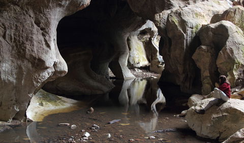 Fig Tree Cave - Accommodation Directory 2