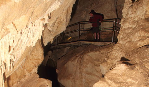 Fig Tree Cave - Accommodation Directory 3