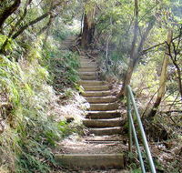 Nature track - Accommodation Directory