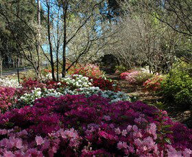 Wildwood Garden - Accommodation Directory 2
