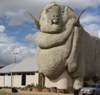 Big Merino - Accommodation Directory
