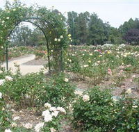 Victoria Park Rose Garden - Accommodation Directory