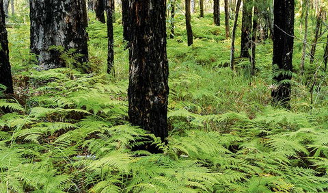 River Walk - Accommodation Directory 2