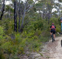 McMahon's Point ride - Wentworth Falls - Accommodation Directory
