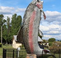 Big Trout - Accommodation Directory