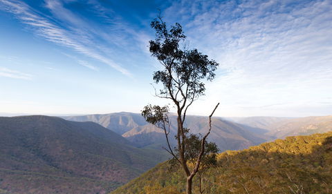 Salisbury Waters Walking Track - Accommodation Directory 0