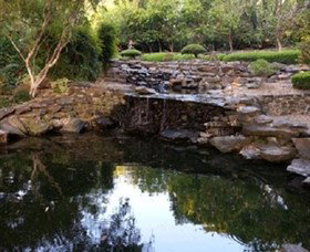 Bundaberg Botanic Gardens And Playground - Accommodation Directory 1