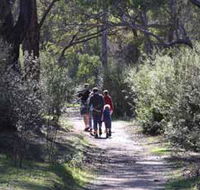 Syd's Rapids and Aboriginal Heritage Trail Avon Valley - Accommodation Directory