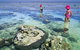 Southern Great Barrier Reef - thumb 1