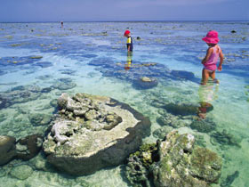 Southern Great Barrier Reef - Accommodation Directory 1