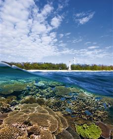 Southern Great Barrier Reef - Accommodation Directory 2