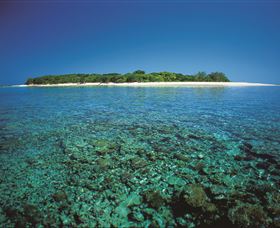 Southern Great Barrier Reef - Accommodation Directory 3