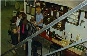 John Kosovich Wines - Accommodation Directory 1
