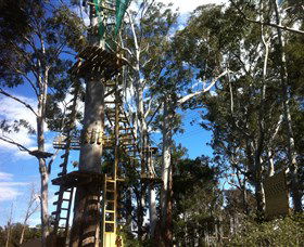 Trees Adventure Grose River Park - Accommodation Directory 1