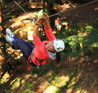 Trees Adventure Grose River Park - Accommodation Directory