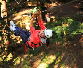 Trees Adventure Grose River Park - Accommodation Directory 0